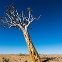NAM KAR Gondwana 2016NOV19 NaturePark 017 : 2016 - African Adventures, Karas, Namibia, Southern, Africa, Gondwana Nature Park, 2016, November